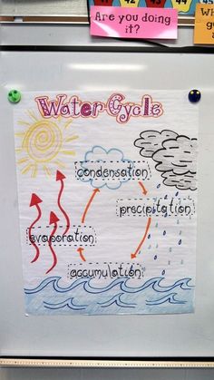 a bulletin board with water cycle written on it in front of a classroom refrigerator door