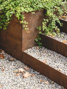 some plants are growing out of the top of some concrete steps that lead up to an area with gravel and rocks