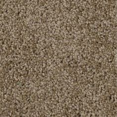 a close up view of a carpet texture