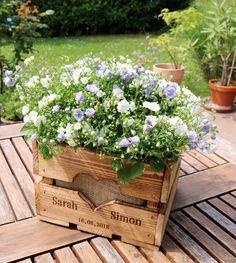 a wooden box filled with white and blue flowers