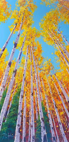 Untitled - Upview-Painting-Roberto Ugalde-Sorrel Sky Gallery Aspen Tree Art, Aspen Trees Watercolor, Aspen Illustration, Aspen Painting, Aspen Tree Painting Easy, Paintings Of Aspen Trees, Watercolor Fall Aspens, Autumn Trees Painting, Autumn Tree Painting