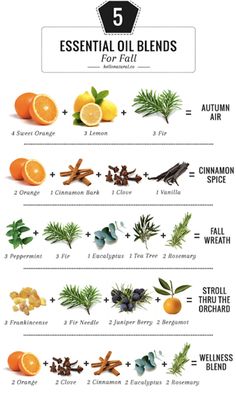 Fantastic Fall Scents to Make Your Home Smell Good (That Aren't Candles!) | Candles can get expensive, and there can be a somewhat disturbing synthetic aroma that lingers in the air long after the it's been blown out. Essential oil blends are a perfect way to add nontoxic scent to your space. مربى الفراولة, معطر جو, Joululahjat Diy, Lilin Aroma, Săpunuri Handmade