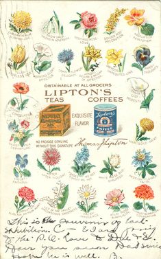 an advertisement for teas from the victorian era, with flowers and other things in it