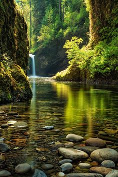 a river running through a lush green forest filled with lots of rocks and water next to a waterfall