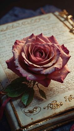 a pink rose sitting on top of an open book