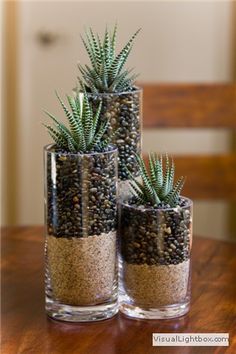 two glass vases filled with plants on top of a wooden table