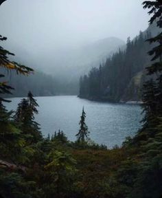 a lake surrounded by pine trees in the middle of a foggy mountain area with water