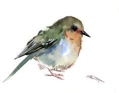 a watercolor painting of a small bird on a white background