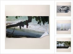 several photographs of boats on the water and trees in the foreground, along with other images