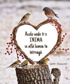 two birds sitting on top of a heart shaped tree stump with the words accolo unde it're inma se affii umea tume ta intreaga