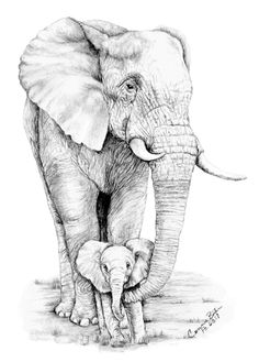 an elephant and its baby are shown in this black and white drawing by artist mark stewart