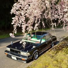 a black car parked on the side of a road next to a tree with pink flowers