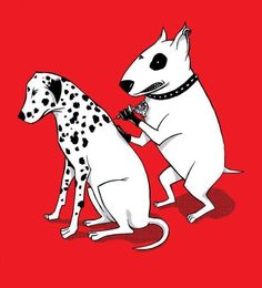 an image of two dogs on a red and black background with the caption foto