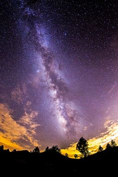 the night sky is filled with stars and bright clouds, as well as silhouettes of trees