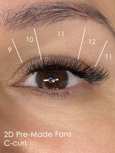 Yegi's 2D lashes are the perfect lashes to use for the client who loves the clean and simple look of a classic set and wants them as dark as possible. They are a great fit for the client who also has fewer natural lashes to begin with. You want to make sure the client's lashes are not too thin and can support the 2D lashes. Rule of thumb: The base of the fan is no more than double the thickness of the natural lash. 2D Thickness: .15 Yegi Premade Lash Fans (2D-9D) are designed for easy applicatio Lash Extensions Whispie, Eyelash Extensions Classic Natural, Hybrid Kitten Eye Lash Extensions, Small Eye Lash Extensions Mapping, 2d Lashes Eyelash Extensions, Simple Lash Map, Small Lashes Extensions, Natural Classic Lash Extensions Mapping, Classic Eyelash Extensions Mapping