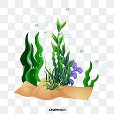 an underwater scene with seaweed and plants on the bottom, transparent background png