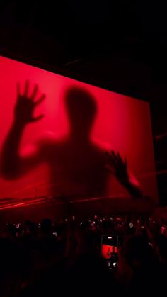 the shadow of a person is projected on a red wall in front of a crowd