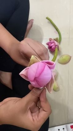 two hands are holding a pink flower on the floor