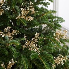 a close up of a christmas tree with white and gold decorations on it's branches