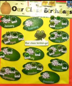 a bulletin board with frog images and words on it that say our class birthdays