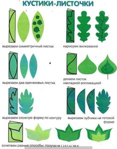 an image of different types of plants and leaves in russian language, with instructions on how to cut them