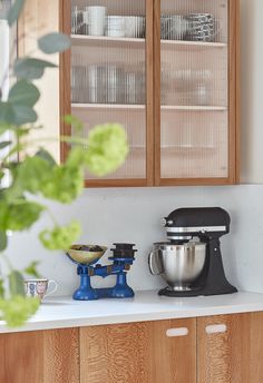 a kitchen with wooden cabinets and appliances on the counter top next to a potted plant