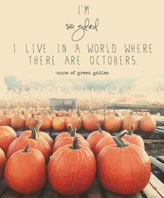 there are many pumpkins in the field with a quote on it that says, i'm so grateful