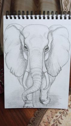 a pencil drawing of an elephant with tusks