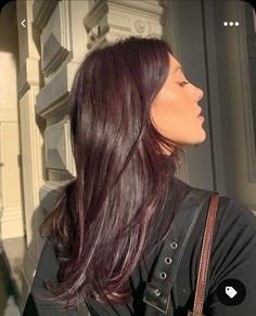 2023 Hair Color Trends For Indian Women, Light Plum Brown Hair, Red Hair Tint On Black Hair, Dark Hair Colors 2023, Brunette Hair Purple Undertone, Milk Tea Hair Color On Brown Skin, Amethyst Brown Hair, Cherry Coke Hair Color On Black Hair, Deep Chocolate Plum Hair Color