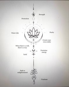 a diagram showing the seven chakras and their corresponding symbols, including water lily