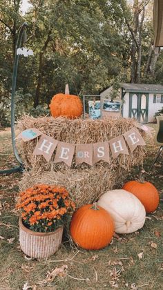 pumpkins and hay bales are arranged on the ground