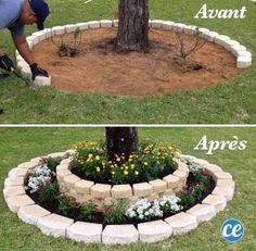 the before and after photo shows how to make a flower bed around a tree