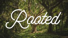 the word raated is surrounded by trees and grass in front of a forest