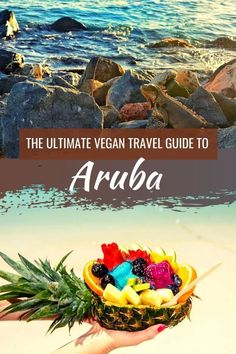 the ultimate vegan travel guide to aruba