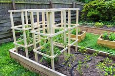 an outdoor garden with several wooden structures in it