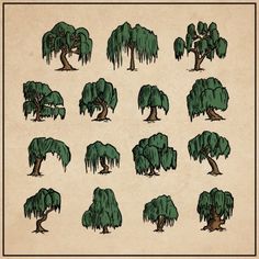 an image of different types of trees in the forest on parchment colored paper with black border