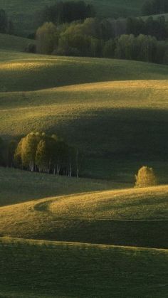 an open field with trees in the distance and green grass on the other side, at sunset