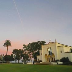 a kite flying in the sky over a building with palm trees and grass on the ground