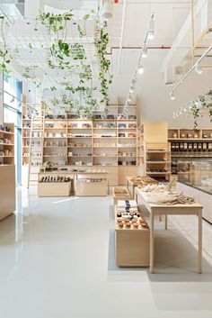 the inside of a store with lots of shelves and plants hanging from it's ceiling