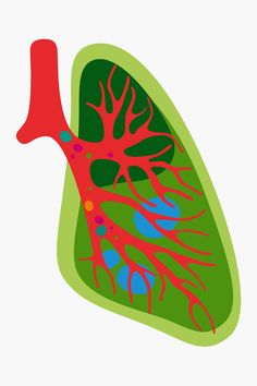 an illustration of the lungs and broccoli in red, green and blue colors