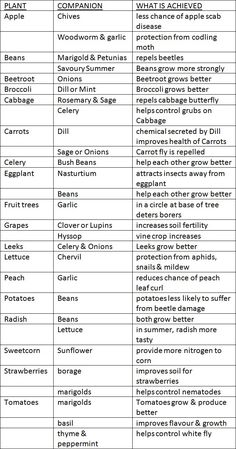 the different types of plants and their names