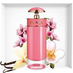 Prada Candy Gloss Perfume, Nice Perfumes, Prada Candy Gloss, Creed Perfume, Seductive Perfume, Pink Perfume, Pink Bottle, Perfume Scents