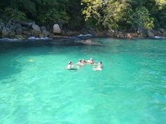 several people swimming in the clear blue water