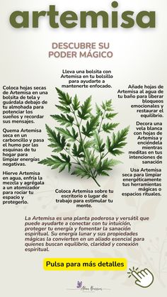 🌿✨ Descubre las propiedades mágicas de la Artemisa: una planta sagrada para la protección, la intuición y la sanación. Aprende a usarla en rituales para limpiar energías, potenciar sueños y conectar con lo divino. ¡Explora su magia lunar y ancestral! 🌙💫 #ArtemisaMágica #RitualesDeProtección #EnergíaLunar #MagiaNatural #RitualesEspirituales Dog Watercolor Painting, Tea Remedies, Herb Tea, Watercolor Dog, Medicinal Plants, Art Quilts, Medicine, Plants