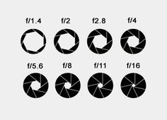 a set of different shapes and sizes of circles