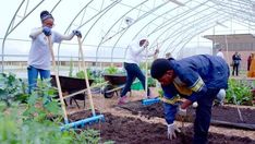 several people are working in the garden together