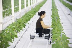 a woman is sitting in a greenhouse with plants