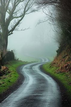 an empty road in the middle of a foggy field with trees on both sides