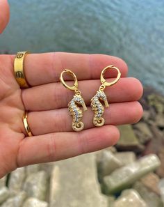 These sea horse earrings are the cutest things! They sea horse charm itself is 18K Gold Plated with cubic zirconia details. The sea horse measures 22mm wide & 11mm long. 🌊 The next pair of sea horse earrings are more colorful they are nickel free & 16K Gold Plated. These measure 22mm x 9mm. 🌊 The huggie hoops are lead & nickel free and real 18K gold plated the huggies measure 11.7mm wide & 14.7 mm long not including the charm! 🌊 Message us for any questions or custom orders! ☀ Charm Earrings In Cubic Zirconia As Gift, Ocean Inspired Jewelry, Horse Earrings, Shark Tooth Necklace, Tooth Necklace, Face Earrings, Nickel Free Earrings, Sea Horse, Ocean Inspired