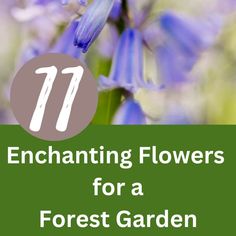 flowers growing in an enchanted forest Forest Garden Design, Enchanted Forest Prom, Enchanting Forest, Shade Gardens, Garden Area, Woodland Garden